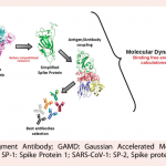 Uso de modelos simplificados para la predicción teórica de las interacciones entre los anticuerpos disponibles y el dominio de unión al receptor de la proteína espiga del SARS-CoV-2