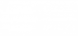 Logo CNS blanco (1)